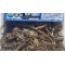 Hierba del Sapo, yerba de sapo : Eryngium carlinae Mexican Herbs 